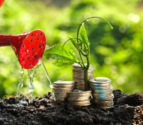 Sostenibilità vera o di facciata? Perché il greenwashing è il nemico della reputazione