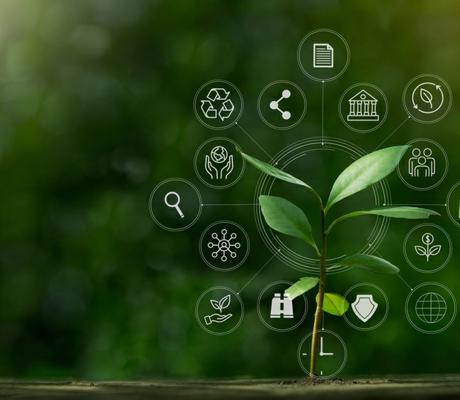 shutterstock 2214835483