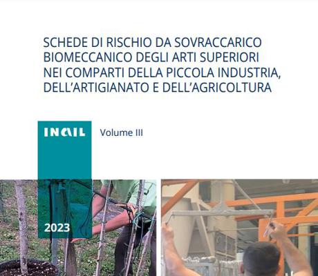 vol3 rischio biomeccanico