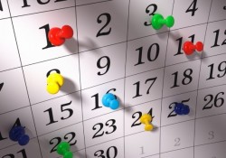 decreto-milleproroghe570