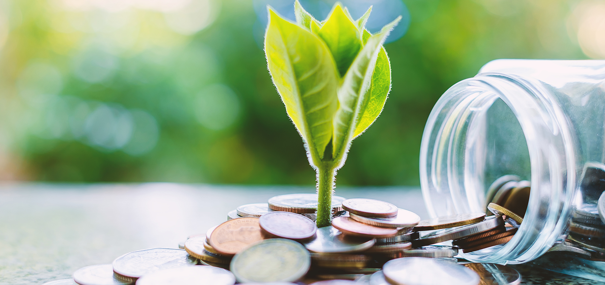 Welfare - Salute e Previdenza Complementare