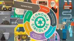 detail_190320_economia_circolare_casella